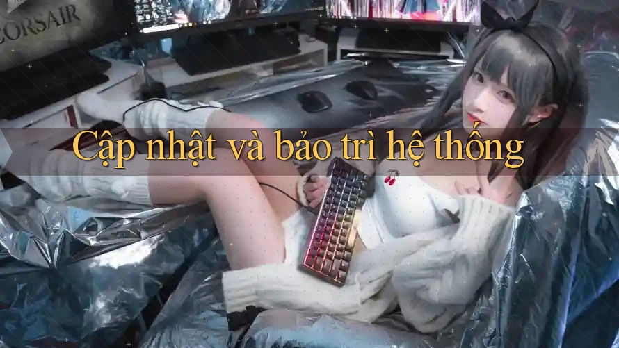 Cập nhật và bảo trì hệ thống