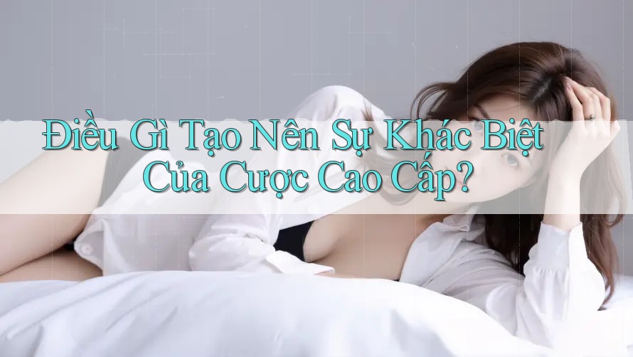 Điều Gì Tạo Nên Sự Khác Biệt Của Cược Cao Cấp? Điều Gì Tạo Nên Sự Khác Biệt Của Cược Cao Cấp?