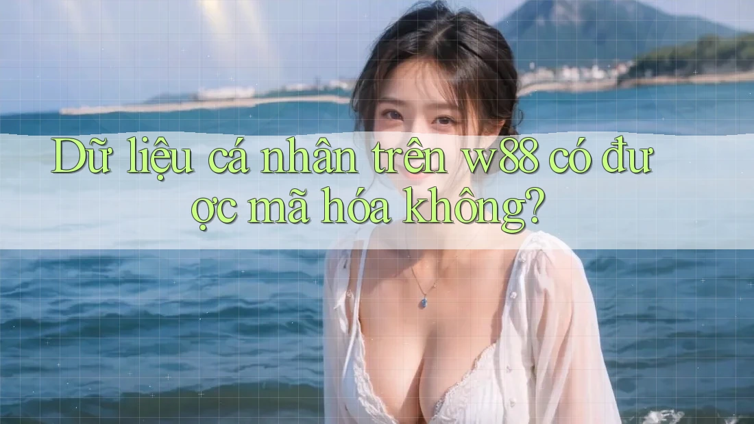 Dữ liệu cá nhân trên w88 có được mã hóa không? Dữ liệu cá nhân trên w88 có được mã hóa không?