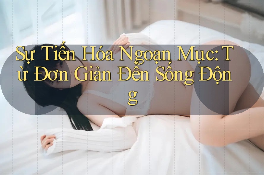 Sự Tiến Hóa Ngoạn Mục: Từ Đơn Giản Đến Sống Động Sự Tiến Hóa Ngoạn Mục: Từ Đơn Giản Đến Sống Động