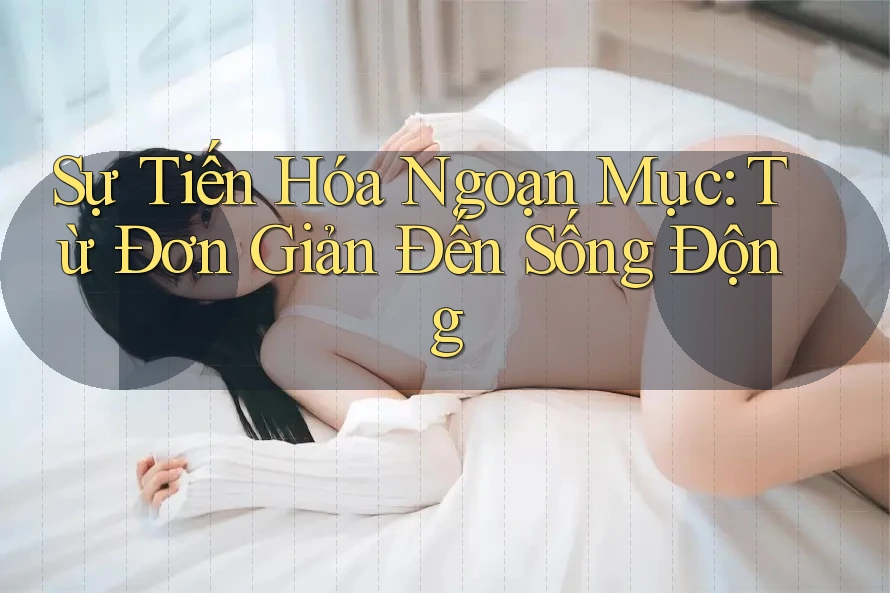 Sự Tiến Hóa Ngoạn Mục: Từ Đơn Giản Đến Sống Động